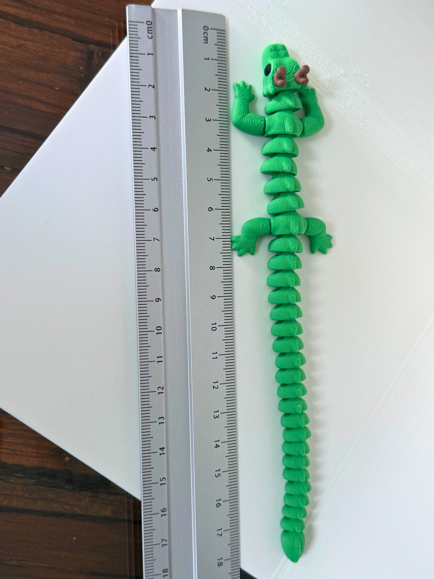 Bovenaanzicht van een uitgestrekte groene draak met hoorns naast een liniaal ter groottevergelijking.