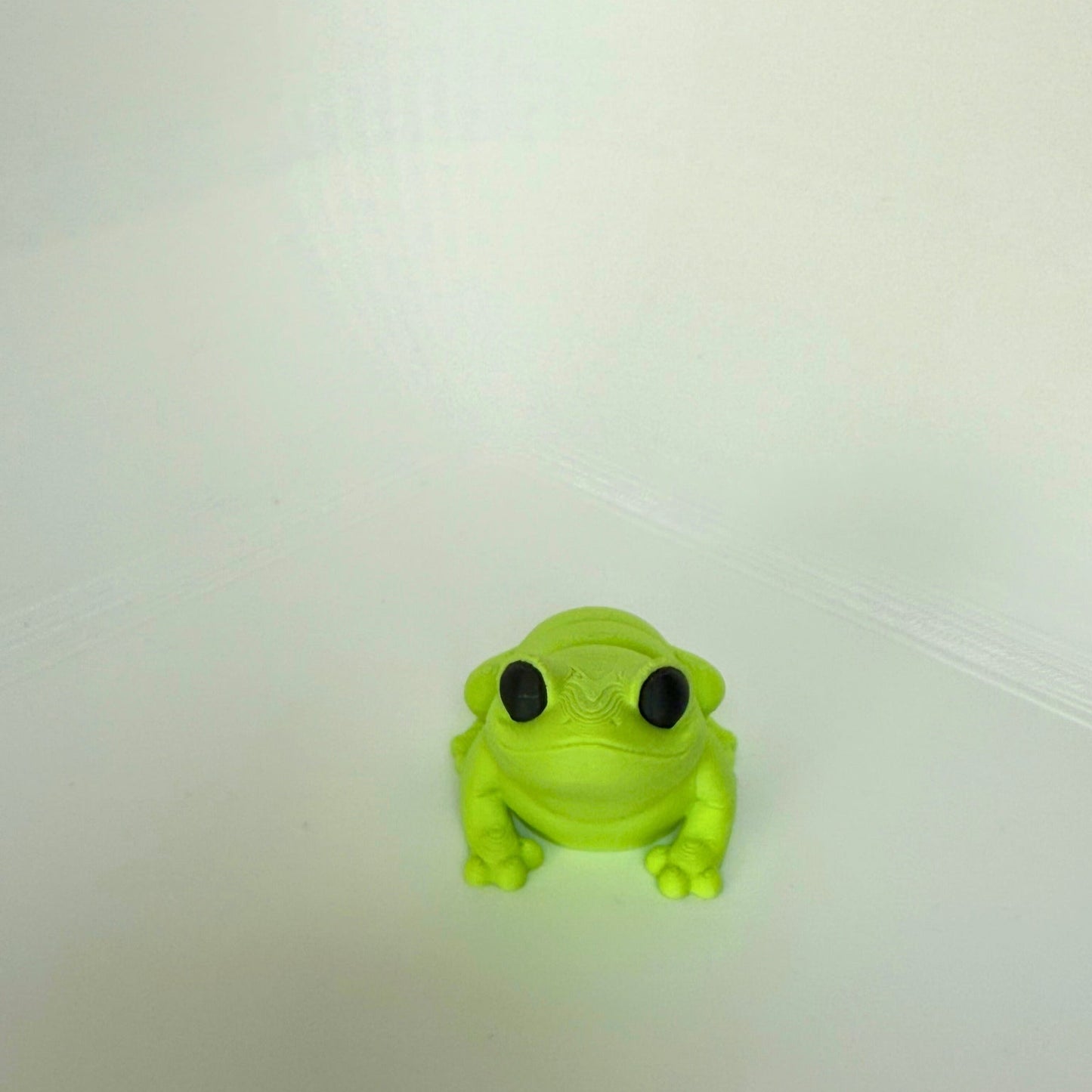 Kinder- en milieuvriendelijk kikker figuurtje, frontaal in beeld met grote ogen en een glimlachende uitstraling